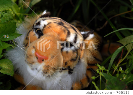 sexagenary cycle, tiger, cuddly toy 766115