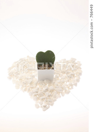 心臟的仙人掌 766449