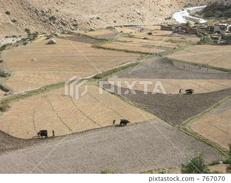 Tibet Tibet 767070
