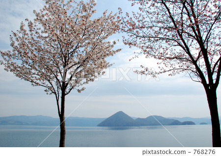 櫻花和洞爺湖 768276