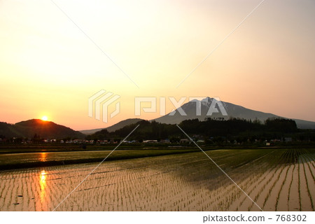 日落和稻田 768302