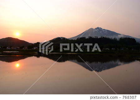 Sunset and paddy field 768307