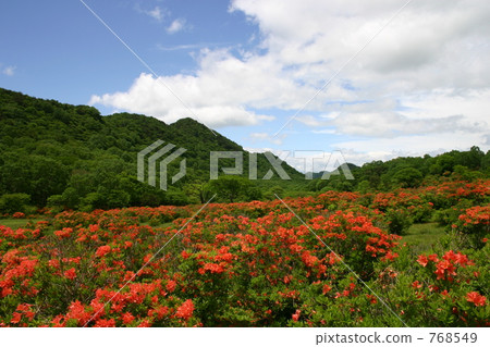 赤城的杜鵑花 赤城的杜鵑花 768549