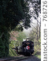 SL "Towa no kun" that goes through the tunnel of the forest 768726