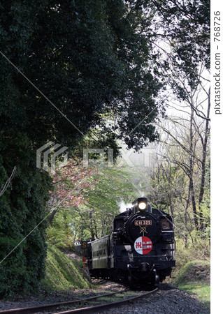 SL "Towa no kun" that goes through the tunnel of the forest 768726
