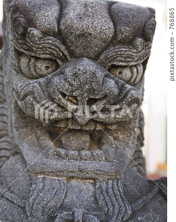 SHISA SHISA 768865