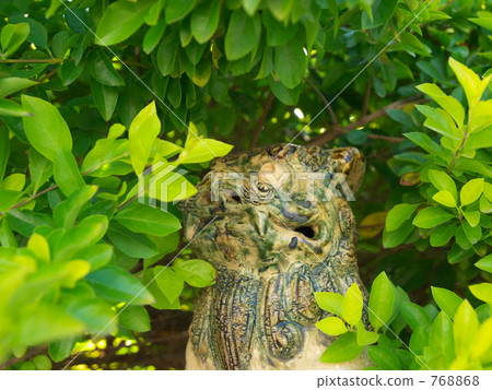 SHISA SHISA 768868