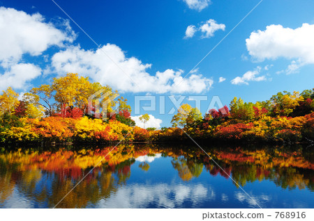 ezo swamp, kougennuma, autumn with beautiful leaves 768916