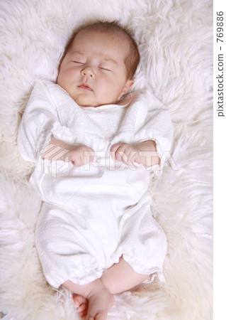 white background, sleep, sleeping 769886