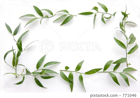 ☆ · · Frame of Ruskas · · ☆ ☆ · · Frame of Ruskas · · ☆ 771046