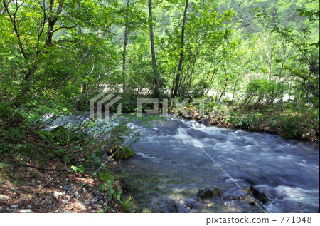 hakuba-mura, hakuba village, therapeutic walk in the woods 771048