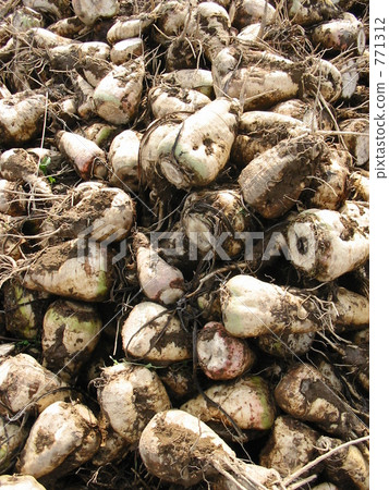 Mountain of beats 771312