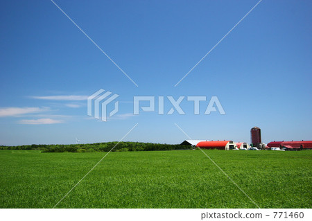 Ranch scenery 771460