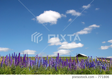 Kan farm 771806
