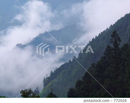 雲升起雨漲了 雲升起雨漲了 772026