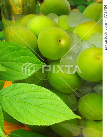 Making plum wine in the garden 773784
