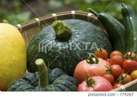 Summer vegetable Summer vegetable 774267