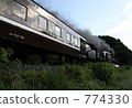 SL of Nagato Gorge "Yamaguchi" issue 774330