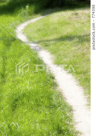 Path 774398