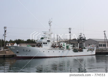 Tateyama Maru Tateyama Maru 774553