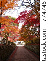 Autumn's Kotosaka 774745