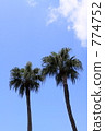 Tropical blue sky 774752