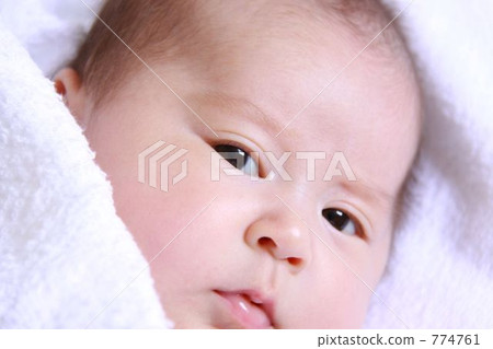 white background, sleep, sleeping 774761