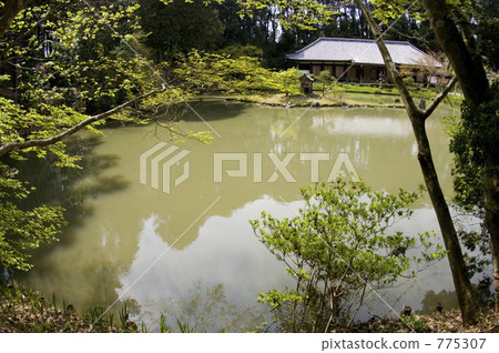 我在Joruri-ji的池塘對岸看到了大廳 775307