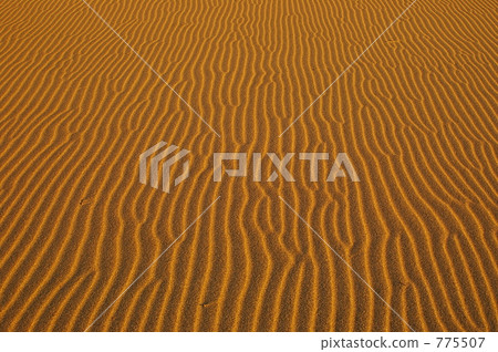 ripple mark, shichirigahama, gold 775507