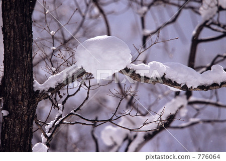 白雪皚皚的球體 白雪皚皚的球體 776064