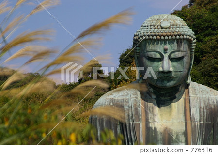 daibutsu, great statue of buddh, kamakura 776316