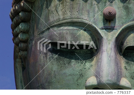 長谷 哈澤 鎌倉大佛殿 776337