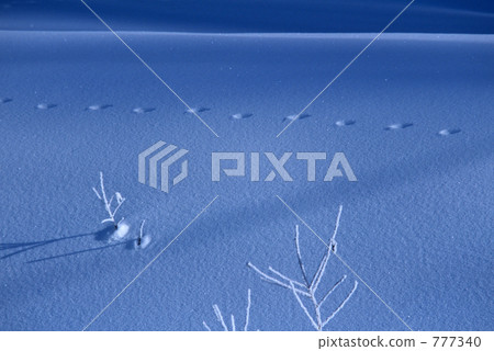 Footsteps 777340