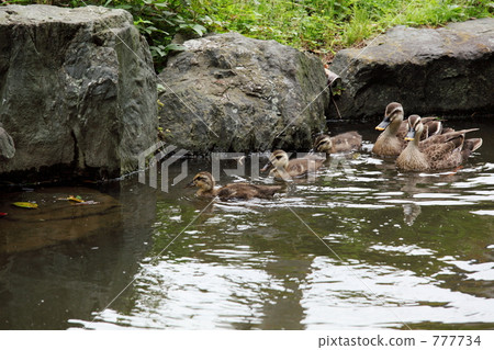 Karmala父母子女Toyohose Park(東京·豐橋) Karmala父母子女Toyohose Park(東京·豐橋) 777734