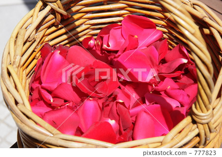 Red rose flower basket Red rose flower basket 777823