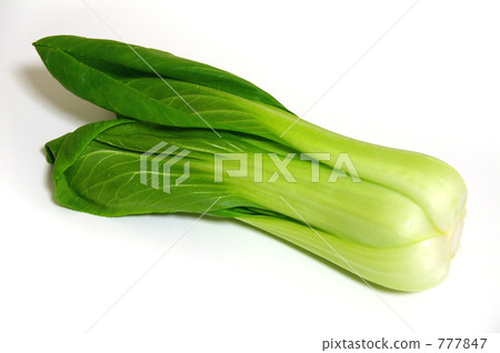 白菜 白菜 777847