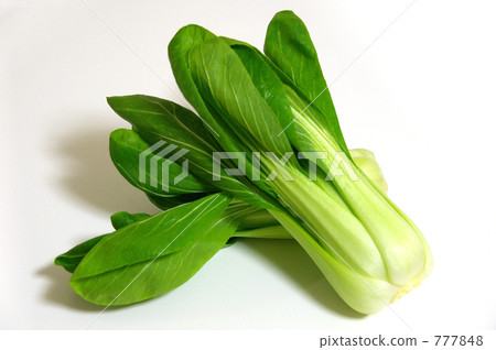 Bok-choy Bok-choy 777848