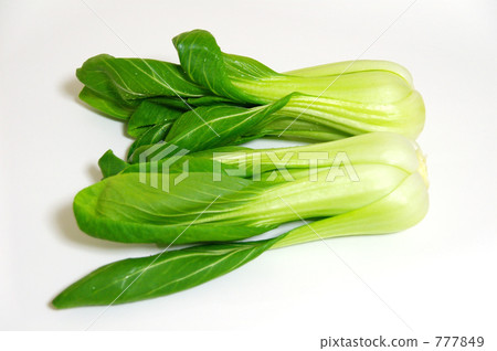 白菜 白菜 777849