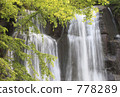 山的瀑布 778289