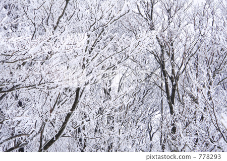 Snow makeup Snow makeup 778293