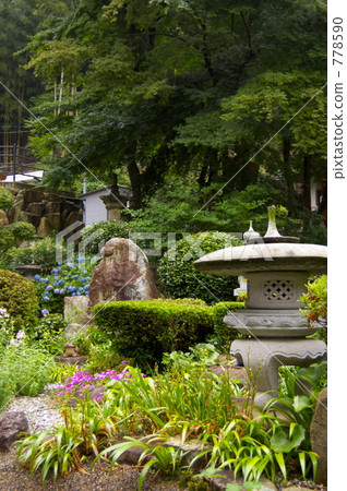 garden, landscaping, yard 778590