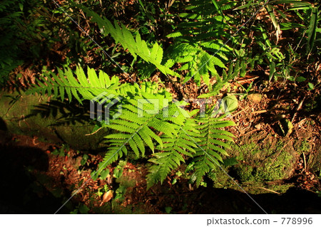 Spot of this week ... Toright! 778996