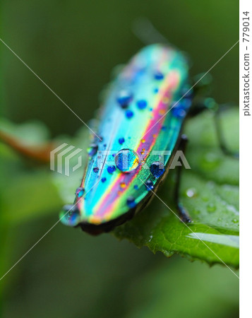 Brilliant back on polka dots 779014