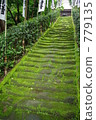 moss, stair, staircase 779135