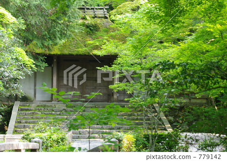 kyoto, fresh verdure, tender green 779142
