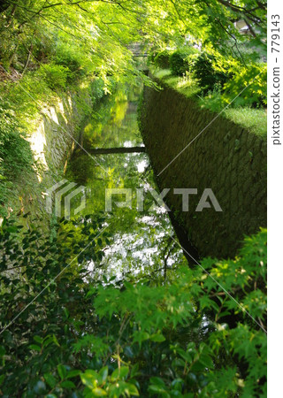 翠綠 鮮綠 哲學之道 779143