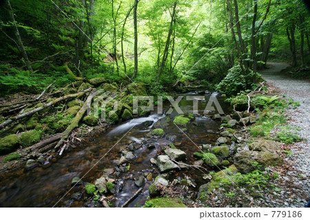 Fresh green Totsawa Fudo Fall (in the vicinity) Fresh green Totsawa Fudo Fall (in the vicinity) 779186