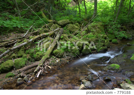 Fresh green Totsawa Fudo Fall (in the vicinity) Fresh green Totsawa Fudo Fall (in the vicinity) 779188