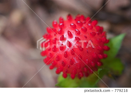 snake strawberry 779218