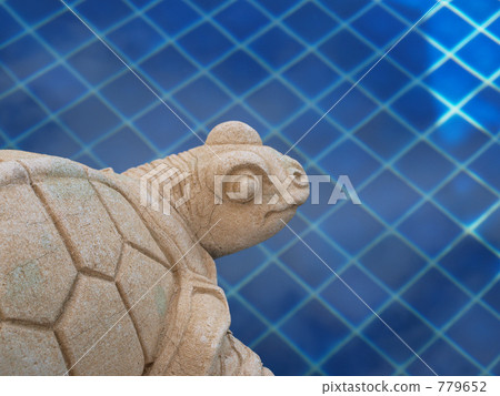 Poolside tortoise 779652